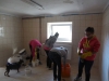 dscn0936